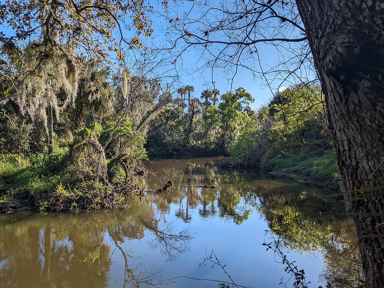 The Turkey Creek Sanctuary boardwalk in Palm Bay — Palm Bay, FL